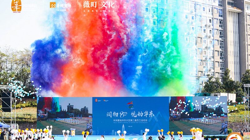 MG动画定制报价单模板：揭秘行业报价逻辑