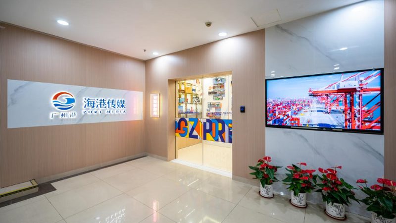 类型分类：了解不同背景布的特点